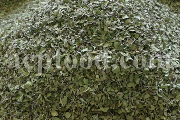 Shirazi Thyme for sale. Shirazi thyme wholesale price. Bulk Shirazi thyme. Shirazi thyme purchase. Zataria multiflora dried leaf in bulk. Z multiflora dried leaves wholesale price. Z multiflora dried leaves purchase. Buy zataria multiflora dried leaves.
