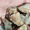 White Fasoukh for sale. Buy ferula communis plant resin. Giant fennel plant gum wholesale price.