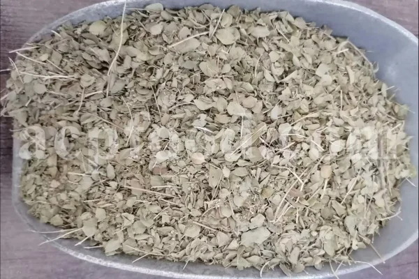 Shirazi Thyme for sale. Shirazi thyme wholesale price. Bulk Shirazi thyme. Shirazi thyme purchase. Zataria multiflora dried leaf in bulk. Z multiflora dried leaves wholesale price. Z multiflora dried leaves purchase. Buy zataria multiflora dried leaves.