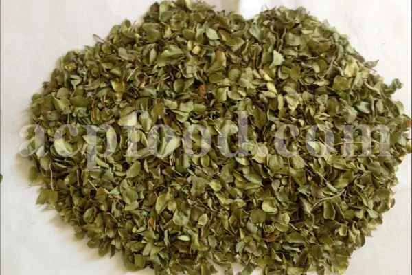 Shirazi Thyme for sale. Shirazi thyme wholesale price. Bulk Shirazi thyme. Shirazi thyme purchase. Zataria multiflora dried leaf in bulk. Z multiflora dried leaves wholesale price. Z multiflora dried leaves purchase. Buy zataria multiflora dried leaves.
