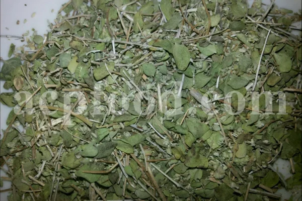 Shirazi Thyme for sale. Shirazi thyme wholesale price. Bulk Shirazi thyme. Shirazi thyme purchase. Zataria multiflora dried leaf in bulk. Z multiflora dried leaves wholesale price. Z multiflora dried leaves purchase. Buy zataria multiflora dried leaves.