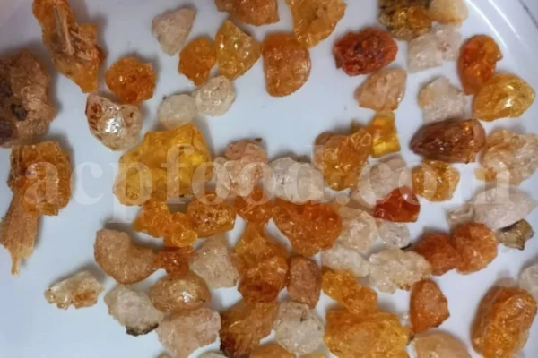 Gum Arabic for sale. Buy Gum Arabic. Bulk Gum Arabic. Acacia Senegal gum for sale. Buy Acacia Gum.
