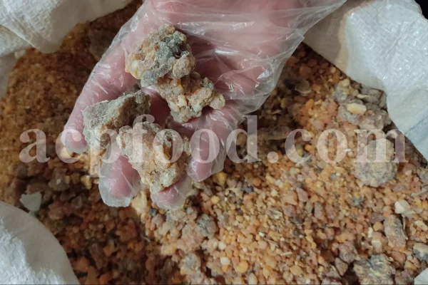 Bulk Galbanum resin for sale. Galbanum gum wholesale price. Galbanum price. Ferula galbaniflua gum in bulk. Ferula gummosa gum for sale.