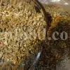 Buy Manna of Hedysarum. Taranjabin for sale. Alhagi pseudalhagi Manna wholesale price. Bulk Alhagi maurorum Manna. Persian Manna purchase.