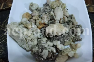 High quality Gum Ammoniac for sale. Dorema ammoniacum wholesale.