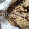 Hochwertige Ammoniakharzpflanze in großen Mengen zu verkaufen. Dorema Großhändler, Lieferant, Exporteur und Anbieter. Kaufen Sie Ferula ammoniacum zum besten Preis.