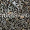 Bulk Echium amoenum for Sale. Buy Persian Borage. Buy Iranian Bugloss with the Best Price. Gol Gav Zaban wholesale price. Bulk Echium amoenum Red Feathers. Borage leaves for sale.