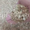High Quality Aromatic Heracleum Persicum Seeds for sale. Bulk Persian Hogweed. Buy Angelica Seeds with the Best Price. Angelica Golpar for sale.