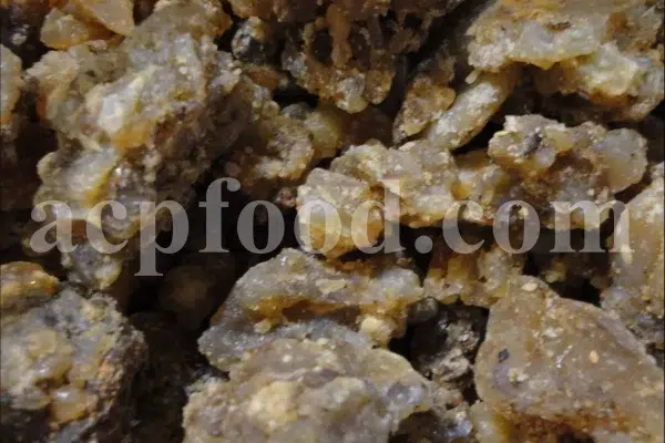 Buy Asafetida Hing. Ferula assa gum for sale. Hing wholesale price. Best quality Asafoetida. Kokh Asafetida for sale.