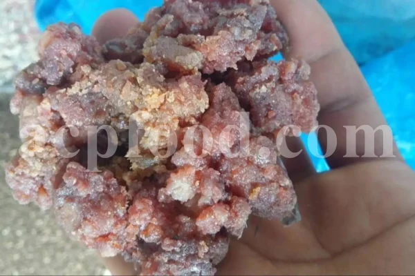 Buy Asafetida Hing. Ferula assa gum for sale. Hing wholesale price. Best quality Asafoetida. Kokh Asafetida for sale.