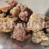 Buy Asafetida Hing. Ferula assa gum for sale. Hing wholesale price. Best quality Asafoetida. Kokh Asafetida for sale.