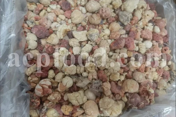 Bulk Sarcocolla Gum for sale. Astragalus Sarcocolla Gum Wholesaler, Supplier, Exporter and Provider. Buy High Quality Anzaroot with the Best Price.