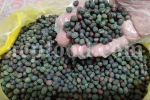 High Quality Pistacia atlantica for sale. Pistacia terebinthus seeds. Pistacia atlantica seeds. Buy Atlantic Pistachio. Pistacia khinjuk wholesale price. Buy Terebinth seeds. Bulk wild pistachios.