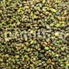 High Quality Pistacia atlantica for sale. Pistacia terebinthus seeds. Pistacia atlantica seeds. Buy Atlantic Pistachio. Pistacia khinjuk wholesale price. Buy Terebinth seeds. Bulk wild pistachios.