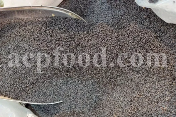 Basil seeds for sale. Holy Basil seeds for sale. Bulk Lime Basil seeds. Falooda seeds wholesale price. Buy Thai Basil seeds. Ocimum basilicum seeds wholesale price.
