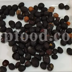 Bay Laurel berries for sale. Buy Bay fruit. Laurel berries wholesale price. Bay berries purchase. Bulk Bay Laurel tree berries. Bay Laurel tree fruit for sale. Bulk Bay leaf fruit. Buy Bay leaf tree berries. Buy Berries from Laurel tree.