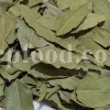 Buy Bay leaves. Bay Leaves for sale. Bay Leaves wholesale price. Bay Laurel for sale. Organic Bay Leaves bulk. Buy Bay Laurel.
