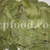 Buy Bay leaves. Bay Leaves for sale. Bay Leaves wholesale price. Bay Laurel for sale. Organic Bay Leaves bulk. Buy Bay Laurel.