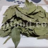 Buy Bay leaves. Bay Leaves for sale. Bay Leaves wholesale price. Bay Laurel for sale. Organic Bay Leaves bulk. Buy Bay Laurel.