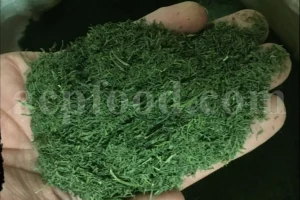 Dried Dill for sale. Buy dried Dill. Dried Dill weed wholesale price. Air dry Dill purchase. Best dried Dill weed. Dill seed for sale. Buy Dill seeds.