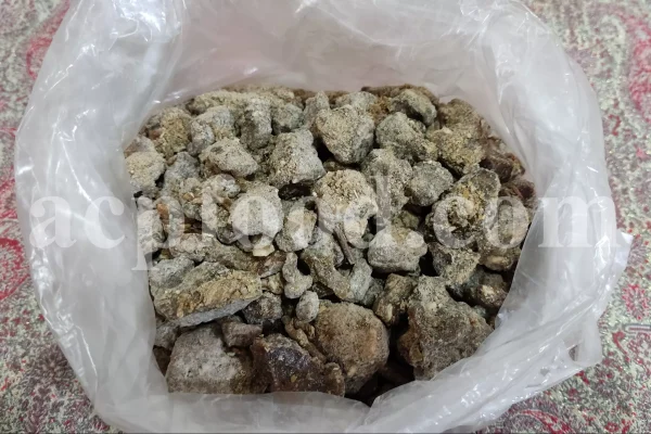 Bulk Willow Manna for sale. Salix fragilis Tree Manna Wholesaler. Brittle Willow Tree Manna Supplier. Crack Willow Tree Manna Exporter.