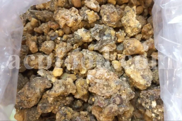 Buy Asafetida Hing. Ferula assa gum for sale. Hing wholesale price. Best quality Asafoetida. Kokh Asafetida for sale.