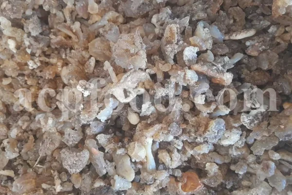 Buy Asafetida Hing. Ferula assa gum for sale. Hing wholesale price. Best quality Asafoetida. Kokh Asafetida for sale.