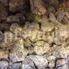 Buy picea orientalis resin