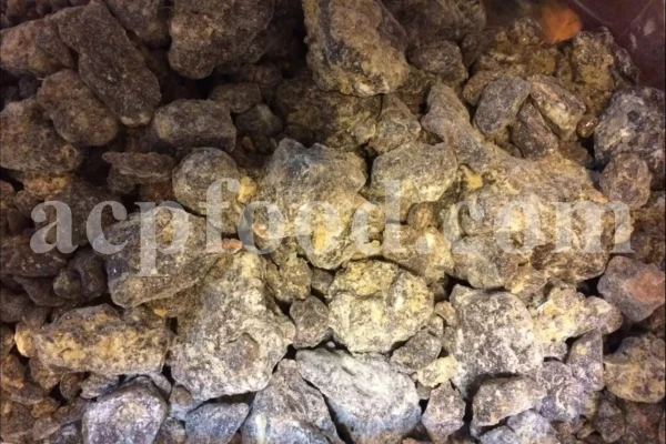Buy picea orientalis resin