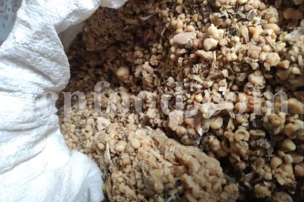 Gum ammoniac in food-safe plastic bags