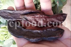 Dried Carob pods for sale. Buy carob bean pods. Carob seed pod in bulk. Locust Bean pods wholesale price. Carob Ceratonia siliqua pods for sale. Buy St John's Bread Carob.
