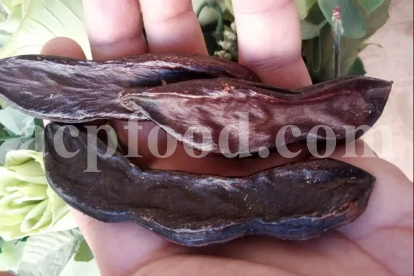 Dried Carob pods for sale. Buy carob bean pods. Carob seed pod in bulk. Locust Bean pods wholesale price. Carob Ceratonia siliqua pods for sale. Buy St John's Bread Carob.
