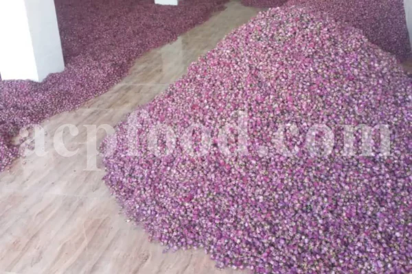 The best quality Rosa damascena buds for sale. Damascena Rose wholesale price. Buy Damascina Rose. Bulk Rosa Damask buds and petals. Wholesale R Damascena. Damask Rose purchase.