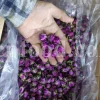 The best quality Rosa damascena buds for sale. Damascena Rose wholesale price. Buy Damascina Rose. Bulk Rosa Damask buds and petals. Wholesale R Damascena. Damask Rose purchase.