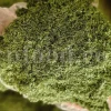 Dried Dill for sale. Buy dried Dill. Dried Dill weed wholesale price. Air dry Dill purchase. Best dried Dill weed. Dill seed for sale. Buy Dill seeds.