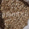High Quality Aromatic Heracleum Persicum Seeds for sale. Bulk Persian Hogweed. Buy Angelica Seeds with the Best Price. Angelica Golpar for sale.