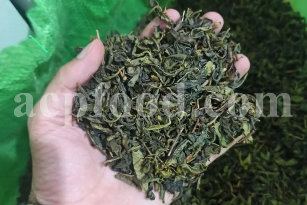 Buy Green Tea. Tea sale. Order Green Tea. Green Tea purchase. Camellia sinensis for sale. Camellia sinensis near me. Buy Green Teas.