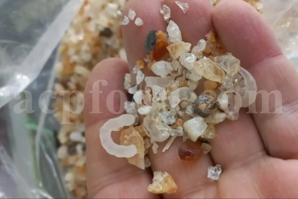 Gum Arabic for sale. Buy Gum Arabic. Bulk Gum Arabic. Acacia Senegal gum for sale. Buy Acacia Gum.