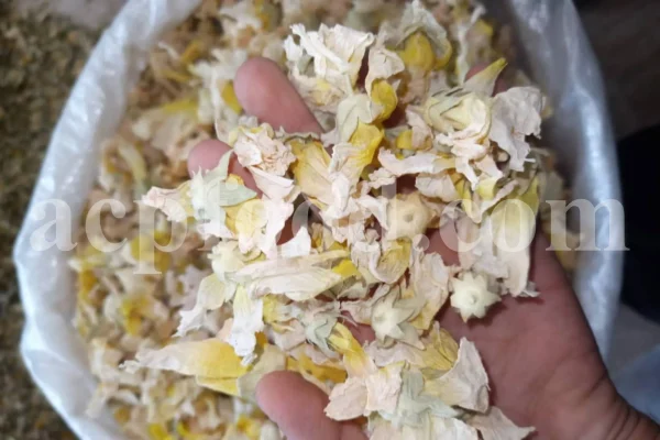 High quality dried Marshmallow flowers for sale. Buy Althaea officinalis dried flowers. Hollyhocks for sale. Buy Common Hollyhock dried flowers. Marshmallow seeds for sale. Buy Hollyhocks seeds.