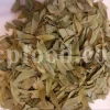 Dried Myrtle leaves for sale. Myrtle leaves purchase. Leaf Myrtle buy. Bulk Mirto leaves. Myrtle leaf tea wholesale price.