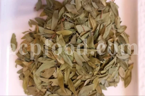 Dried Myrtle leaves for sale. Myrtle leaves purchase. Leaf Myrtle buy. Bulk Mirto leaves. Myrtle leaf tea wholesale price.