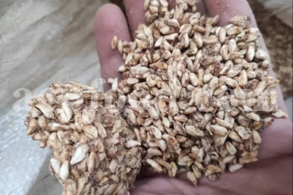 Dried Pomegranate flowers for sale. Buy Pomegranate seeds. Dried Pomegranate skin wholesale price. Gule Anar purchase.