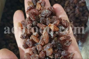 Best Raisins to buy. Bulk Raisins Wholesale. Bulk Raisins for sale. Kishmish price. Buy Raisins in bulk. Raisins price per kg. Iranian Raisin wholesale.