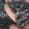 Best Raisins to buy. Bulk Raisins Wholesale. Bulk Raisins for sale. Kishmish price. Buy Raisins in bulk. Raisins price per kg. Iranian Raisin wholesale.