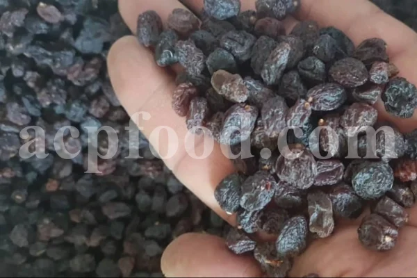 Best Raisins to buy. Bulk Raisins Wholesale. Bulk Raisins for sale. Kishmish price. Buy Raisins in bulk. Raisins price per kg. Iranian Raisin wholesale.