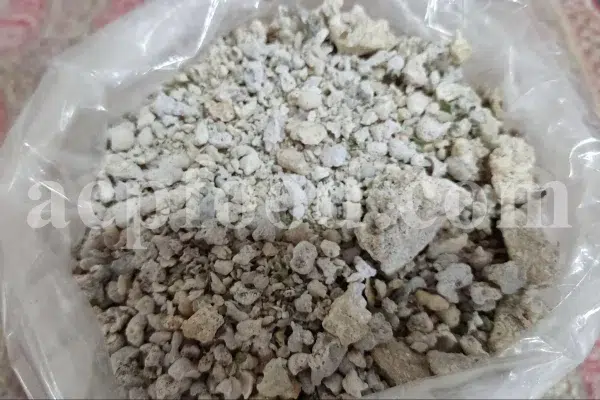 Bulk Purgative Manna for sale. Buy Purgative Manna. Purgative Manna wholesale price. Buy Shir Khesht. Bulk Shir Khesht.