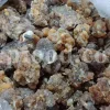 Natural sweet myrrh resin in bulk packaging