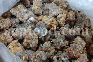 Buy Opoponax. Bulk Opopanax resin. Sweet Myrrh Opoponax. Sweet Myrrh resin wholesale price. Opopanax hispidus purchase.