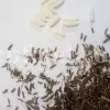 Lovage seeds for sale. Bulk levisticum officinale seeds. Buy lovage seeds. Lovage seeds near me. Bulk maggi plant seeds.