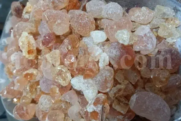 Gum Arabic for sale. Buy Gum Arabic. Bulk Gum Arabic. Acacia Senegal gum for sale. Buy Acacia Gum.